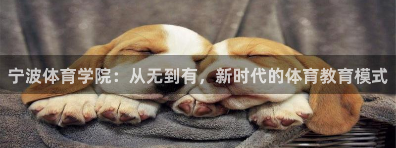 熊猫体育怎么样：宁波体育学院：从无到有，新时代的体育教育模式