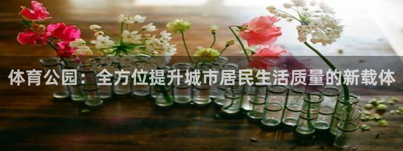 熊猫体育公园价格：体育公园：全方位提升城市居民生活质量的新载体