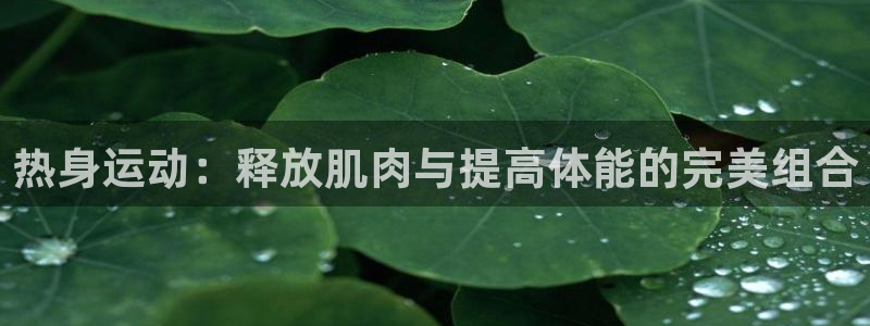 熊猫体育官网首页入口：热身运动：释放肌肉与提高体能的完美组合