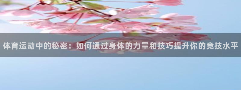 熊猫体育网址：体育运动中的秘密：如何通过身体的力量和技巧提升你的竞技水平