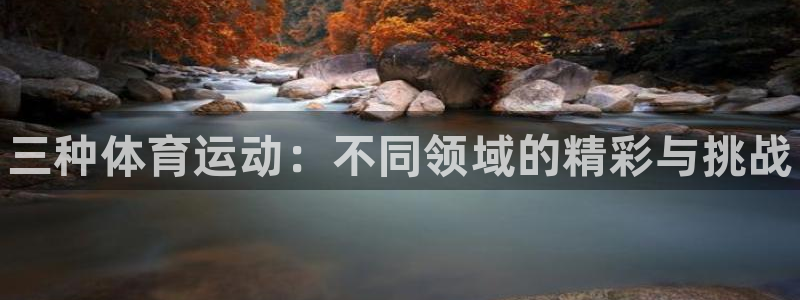 熊猫体育怎么样：三种体育运动：不同领域的精彩与挑战