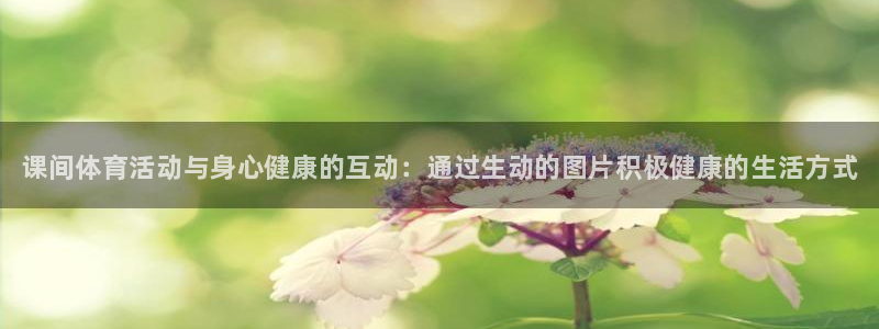 熊猫体育公园：课间体育活动与身心健康的互动：通过生动的图片积极健康的生活方式