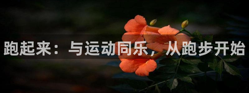 熊猫体育app官网入口：跑起来：与运动同乐，从跑步开始