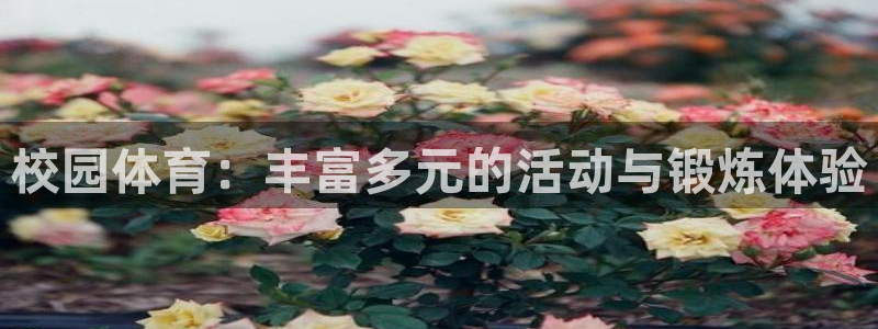 181熊猫体育：校园体育：丰富多元的活动与锻炼体验