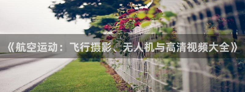 熊猫体育手机版：《航空运动：飞行摄影、无人机与高清视频大全》