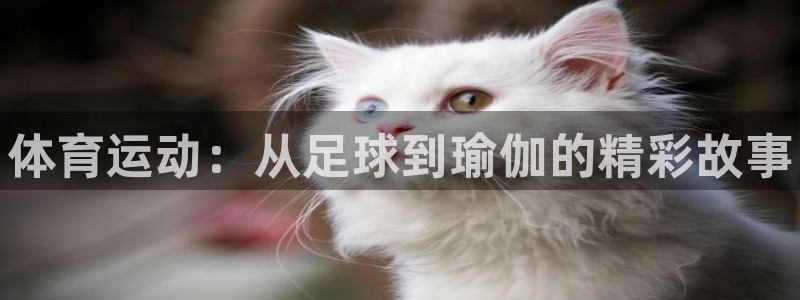 熊猫体育直播：体育运动：从足球到瑜伽的精彩故事