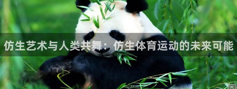 181熊猫体育：仿生艺术与人类共舞：仿生体育运动的未来可能