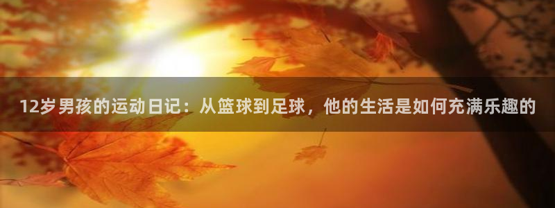 熊猫体育v3.新网页.org：12岁男孩的运动日记：从篮球到足球，他的生活是如何充满乐趣的