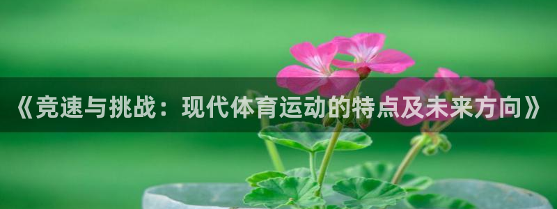 熊猫体育直播：《竞速与挑战：现代体育运动的特点及未来方向》