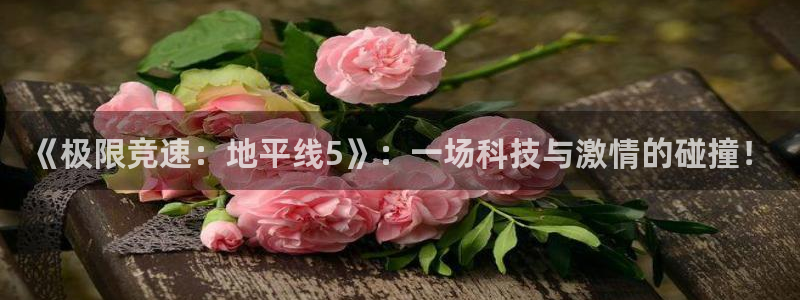 熊猫体育手机版：《极限竞速：地平线5》：一场科技与激情的碰撞！
