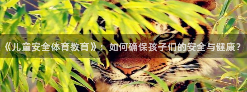 熊猫体育手机版下载：《儿童安全体育教育》：如何确保孩子们的安全与健康？