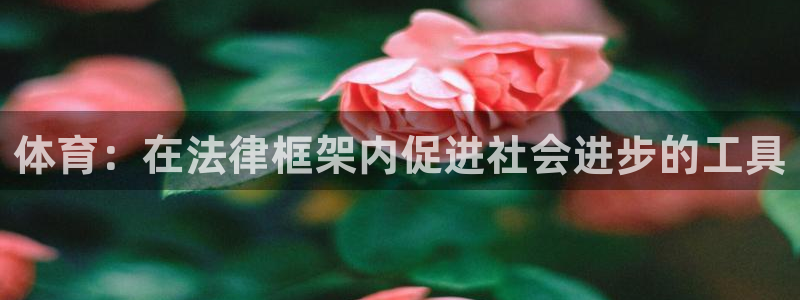 熊猫体育nba：体育：在法律框架内促进社会进步的工具