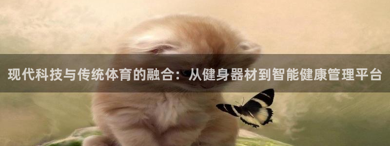 熊猫体育直播：现代科技与传统体育的融合：从健身器材到智能健康管理平台