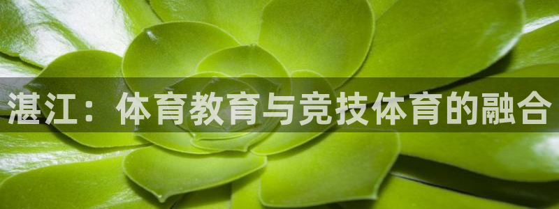 熊猫体育nba：湛江：体育教育与竞技体育的融合