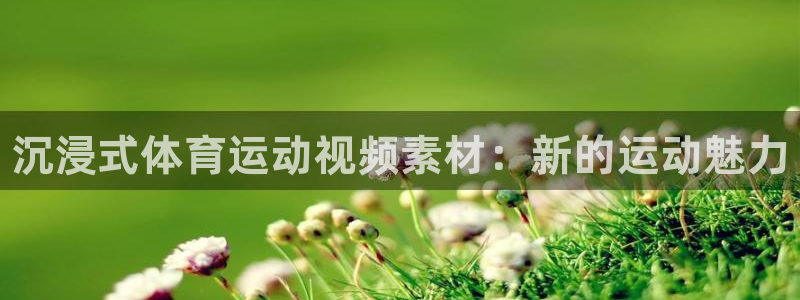 熊猫体育app下载安装：沉浸式体育运动视频素材：新的运动魅力
