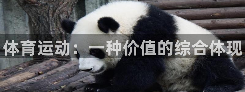 熊猫体育网址：体育运动：一种价值的综合体现