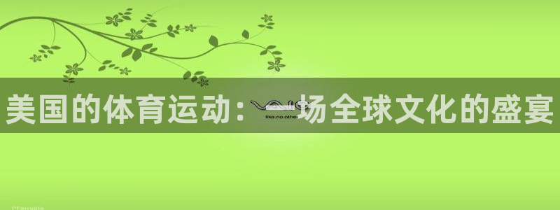 熊猫体育怎么样：美国的体育运动：一场全球文化的盛宴