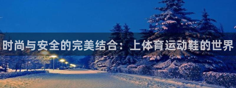 熊猫体育公园：时尚与安全的完美结合：上体育运动鞋的世界