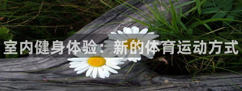 熊猫体育app下载安装