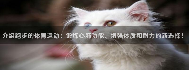 熊猫体育sports：介绍跑步的体育运动：锻炼心肺功能、增强体质和耐力的新选择！