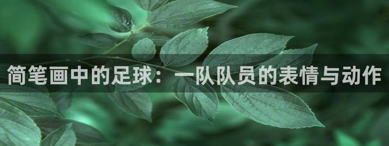 熊猫体育手机版下载