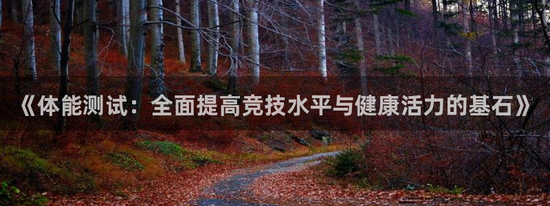 动感熊猫体育公园：《体能测试：全面提高竞技水平与健康活力的基石》