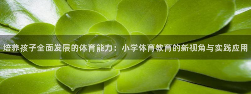 熊猫体育app官方入口：培养孩子全面发展的体育能力：小学体育教育的新视角与实践应用