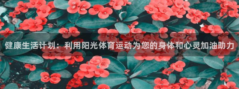 成都金熊猫体育：健康生活计划：利用阳光体育运动为您的身体和心灵加油助力