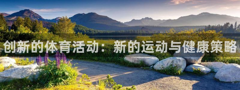 熊猫体育平台官网