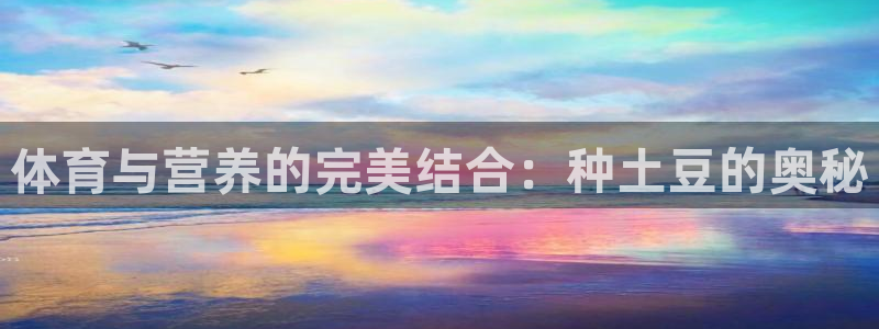 181熊猫体育：体育与营养的完美结合：种土豆的奥秘