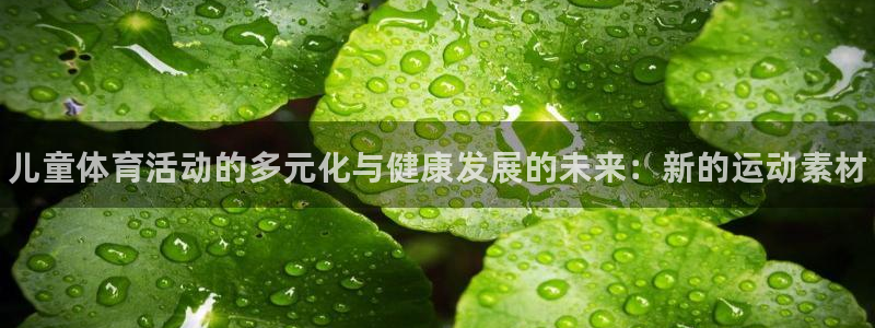 熊猫体育公园：儿童体育活动的多元化与健康发展的未来：新的运动素材