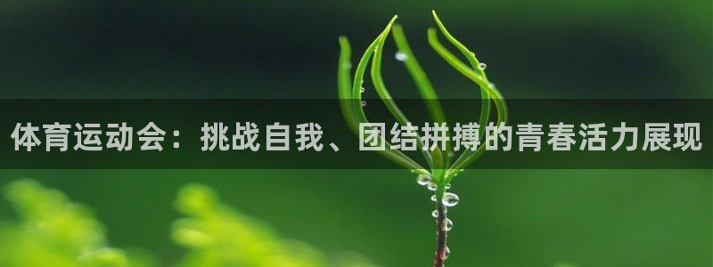 熊猫体育网址：体育运动会：挑战自我、团结拼搏的青春活力展现