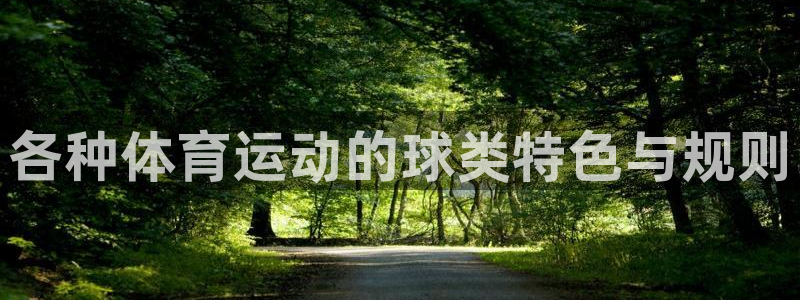 熊猫体育app下载安装：各种体育运动的球类特色与规则