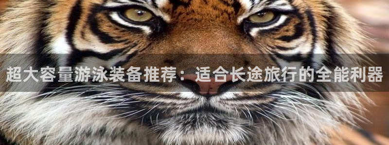 熊猫体育手机版下载：超大容量游泳装备推荐：适合长途旅行的全能利器