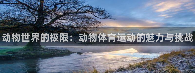 熊猫体育免费下载：动物世界的极限：动物体育运动的魅力与挑战