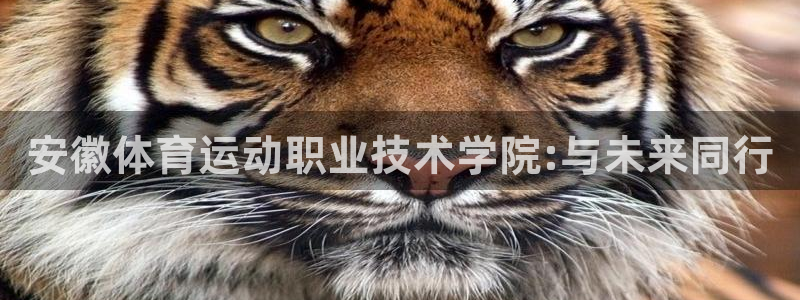 熊猫体育公园