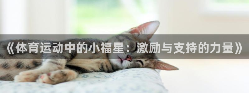 熊猫体育比赛直播：《体育运动中的小福星：激励与支持的力量》