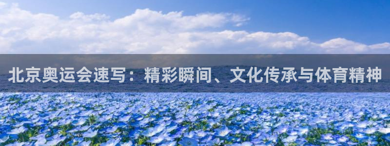 熊猫体育公园价格：北京奥运会速写：精彩瞬间、文化传承与体育精神