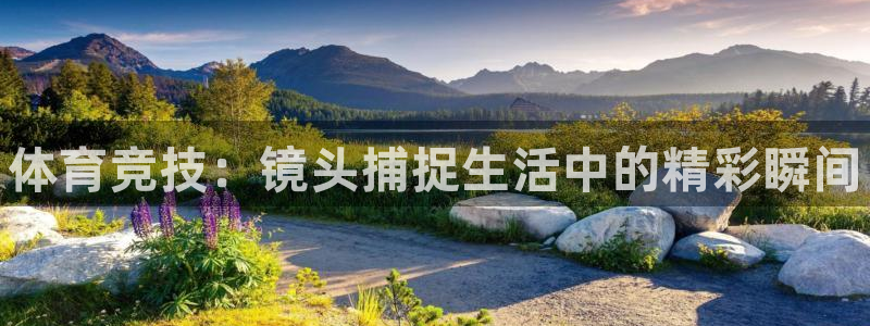 熊猫体育公园价格