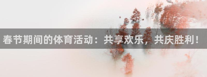 熊猫体育平台：春节期间的体育活动：共享欢乐，共庆胜利！
