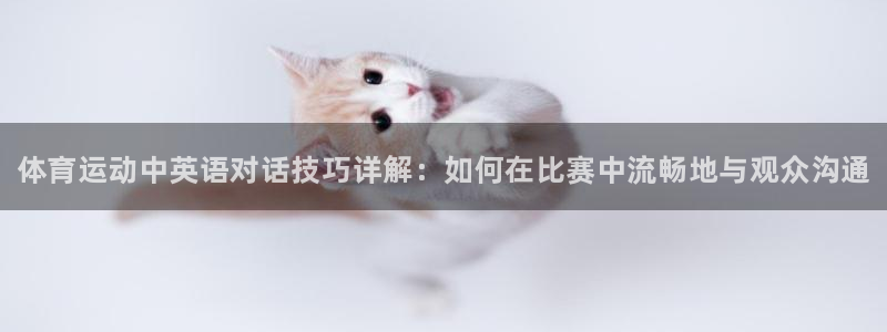熊猫体育网址：体育运动中英语对话技巧详解：如何在比赛中流畅地与观众沟通