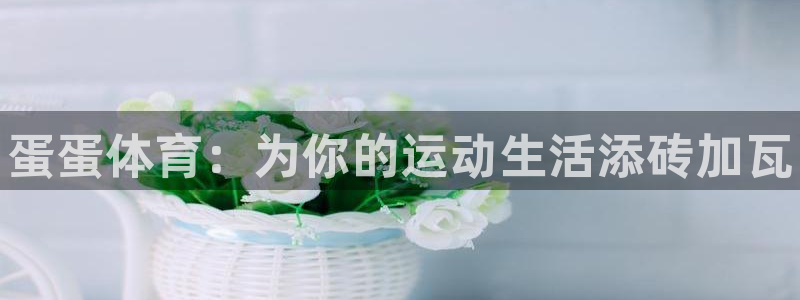 熊猫体育网址：蛋蛋体育：为你的运动生活添砖加瓦