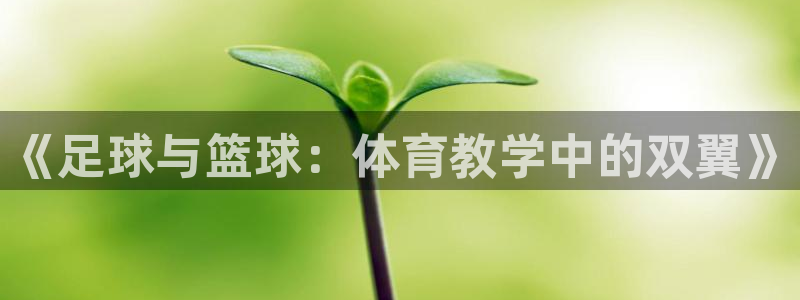 成都熊猫体育公园：《足球与篮球：体育教学中的双翼》