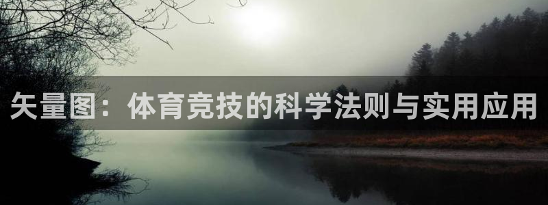 熊猫体育v3.新网页.org：矢量图：体育竞技的科学法则与实用应用