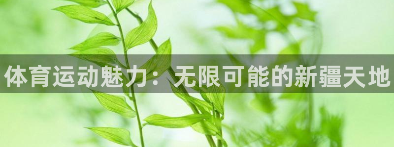 熊猫体育比赛直播：体育运动魅力：无限可能的新疆天地