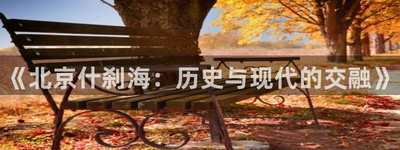 下载熊猫体育：《北京什刹海：历史与现代的交融》