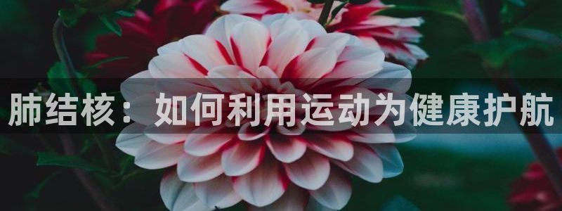 熊猫体育官网首页入口：肺结核：如何利用运动为健康护航
