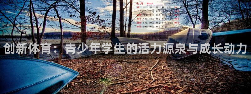 熊猫体育公园价格：创新体育：青少年学生的活力源泉与成长动力