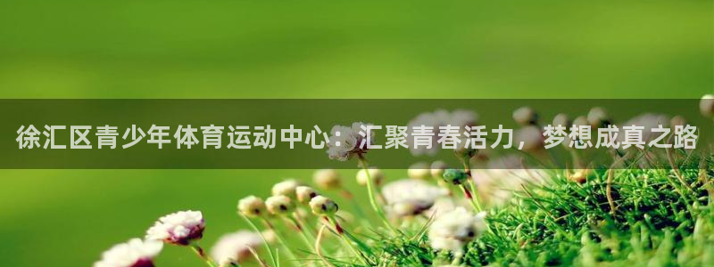 熊猫体育v3.新网页.org：徐汇区青少年体育运动中心：汇聚青春活力，梦想成真之路
