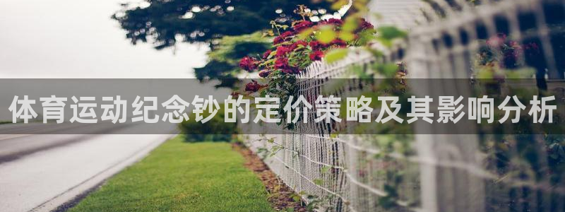 熊猫体育sports：体育运动纪念钞的定价策略及其影响分析